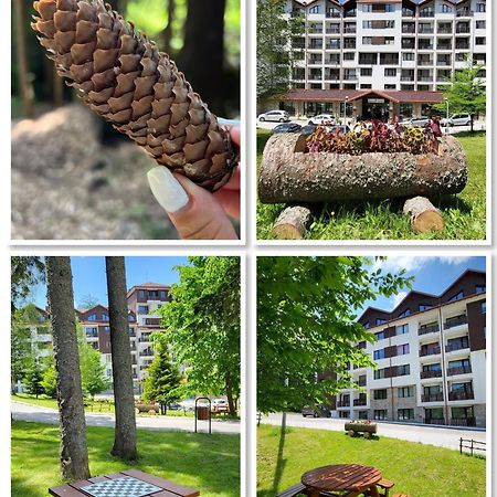 The Green Apartment Borovets Ngoại thất bức ảnh