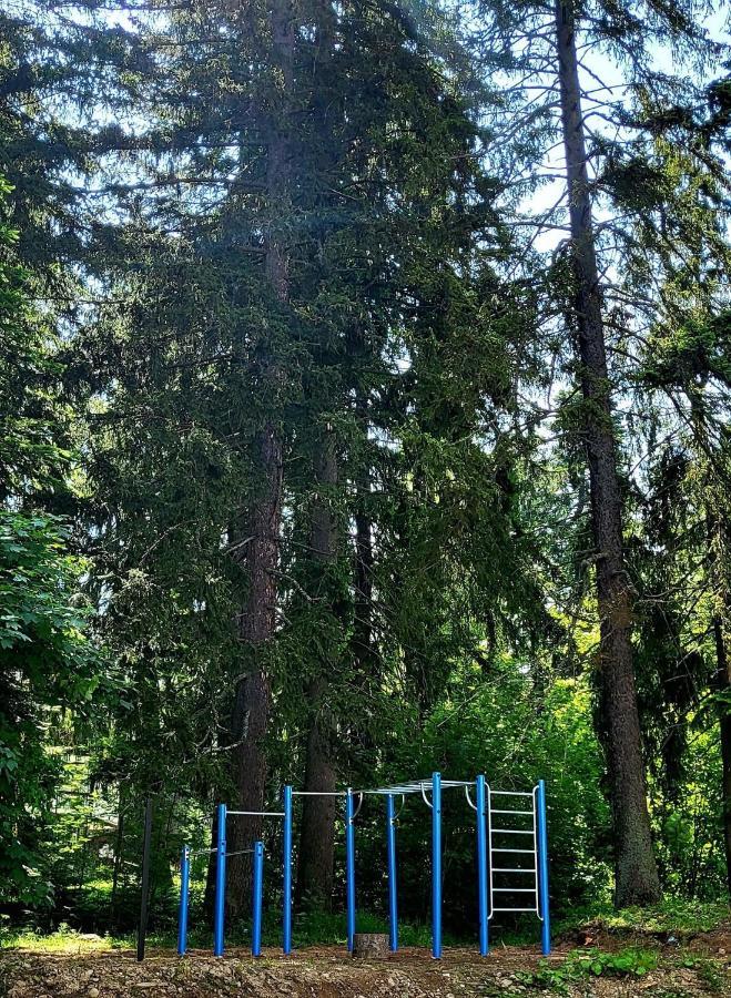 The Green Apartment Borovets Ngoại thất bức ảnh