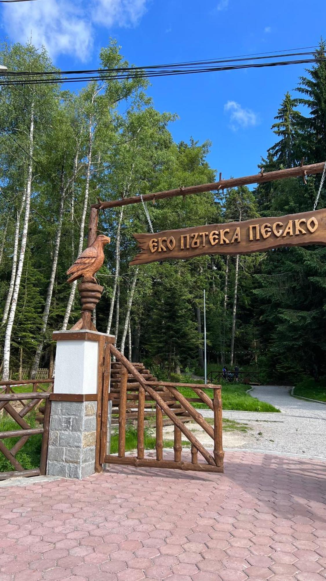 The Green Apartment Borovets Ngoại thất bức ảnh